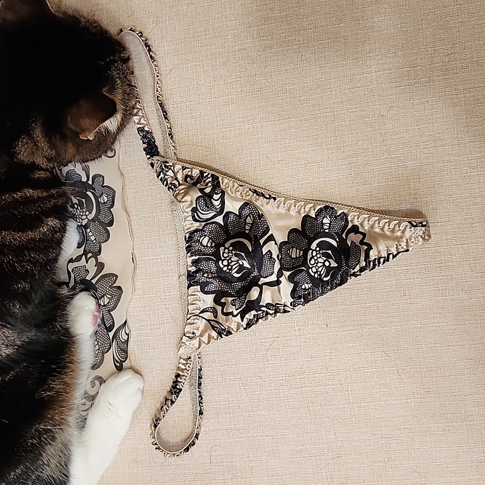 Apt. 9 Black Floral Lace Chemise with Matching Thong - Cream & Black - Picture 3 of 10
